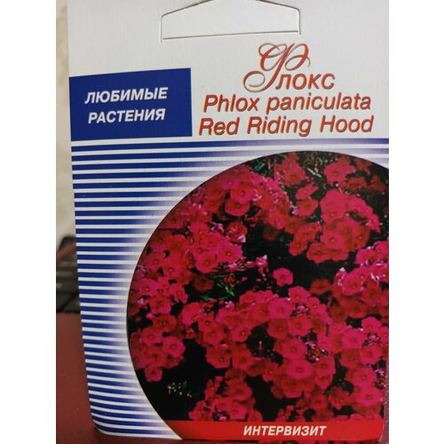  Phlox paniculata Red Riding Hood    , -, 