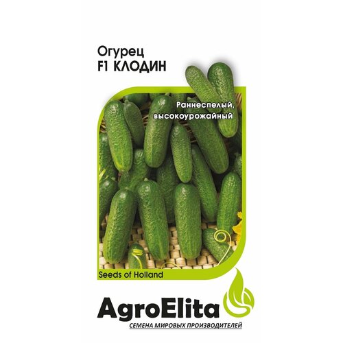    F1, 5, AgroElita, Seminis   , -, 