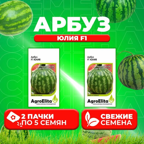   F1, 5, AgroElita, Nunhems (2 )   , -, 