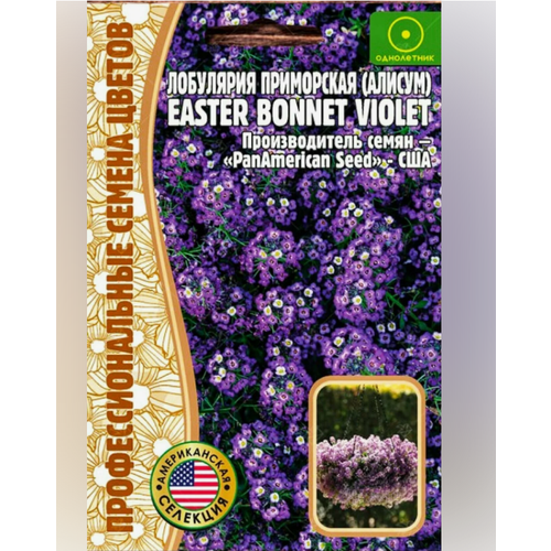  () Easter Bonnet Violet 20 .   (2  )   , -, 