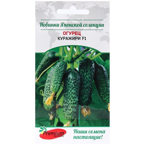  Premium seeds   F1 5    , -, 