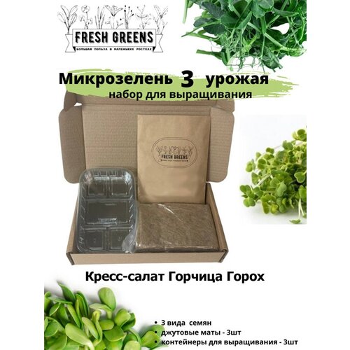     Fresh Greens (-  )   , -, 