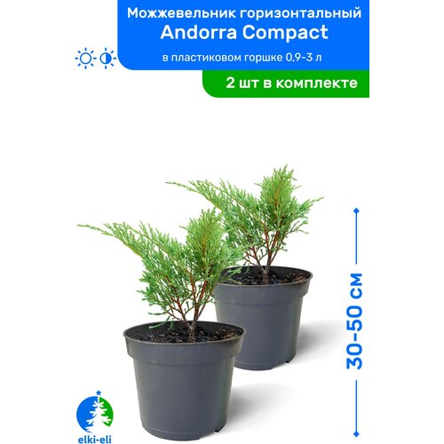   Andorra Compact ( ) 30-50     0,9-3 , ,   ,   2    , -, 