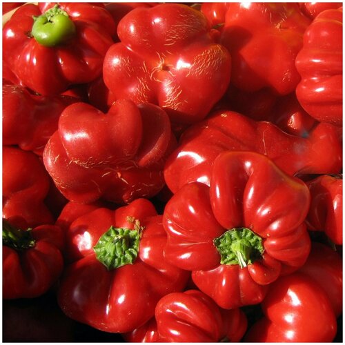   Pimento (. Pimento Sweet Pepper)  5   , -, 