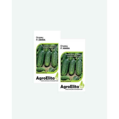    F1, 5, AgroElita, Nunhems(2 )   , -, 