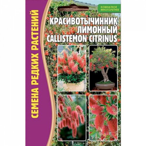    (Callistemon citrinus) (0,1 )   , -, 