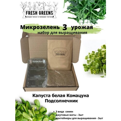     Fresh Greens (   )   , -, 