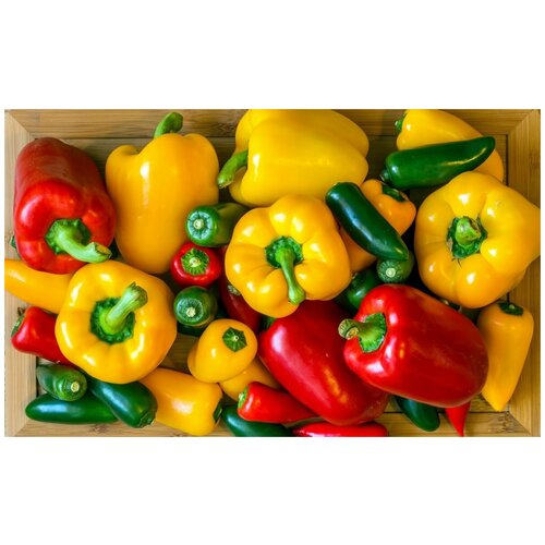    (. Bulgarian pepper)  25   , -, 