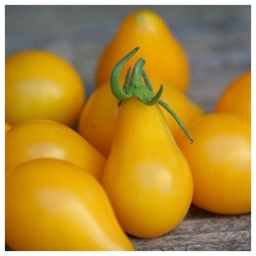    (. Tomato Yellow Pear)  10   , -, 
