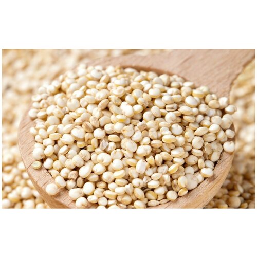   (. Chenopodium quinoa)  250   , -, 