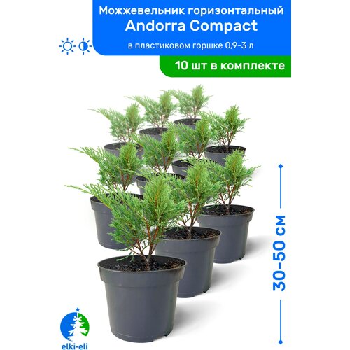   Andorra Compact ( ) 30-50     0,9-3 , ,   , 10    , -, 