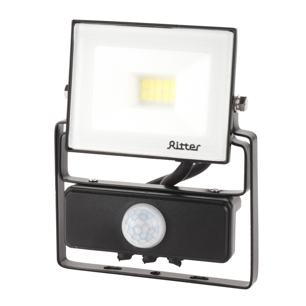 ���������� ��������� ������������ Ritter Profi 6500� 20 �� IP65 � �������� �������� ������  