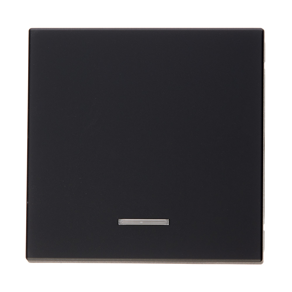 ���������� ����������� Systeme Electric ArtGallery ������������� ������������ ������ � ���������� (GAL001013)  