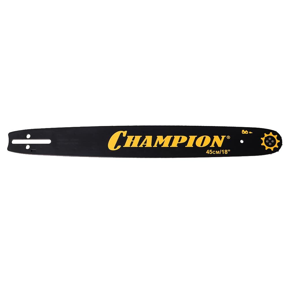 ���������� ���� Champion 18