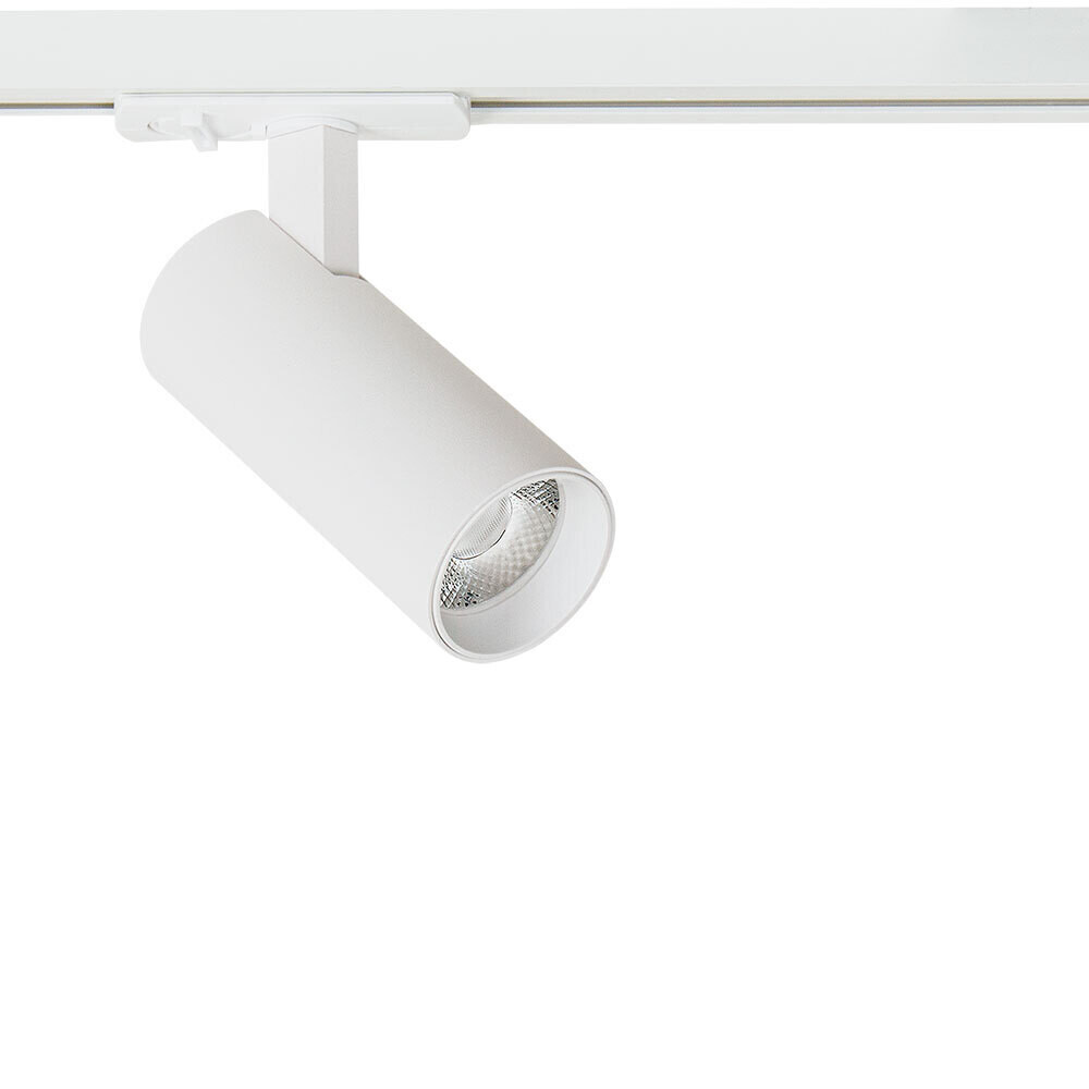 ���������� ������������ �������� ���������� ���������� Arte Lamp Bene 3000� 10 �� ����� (A1935PL-1WH/1075)  