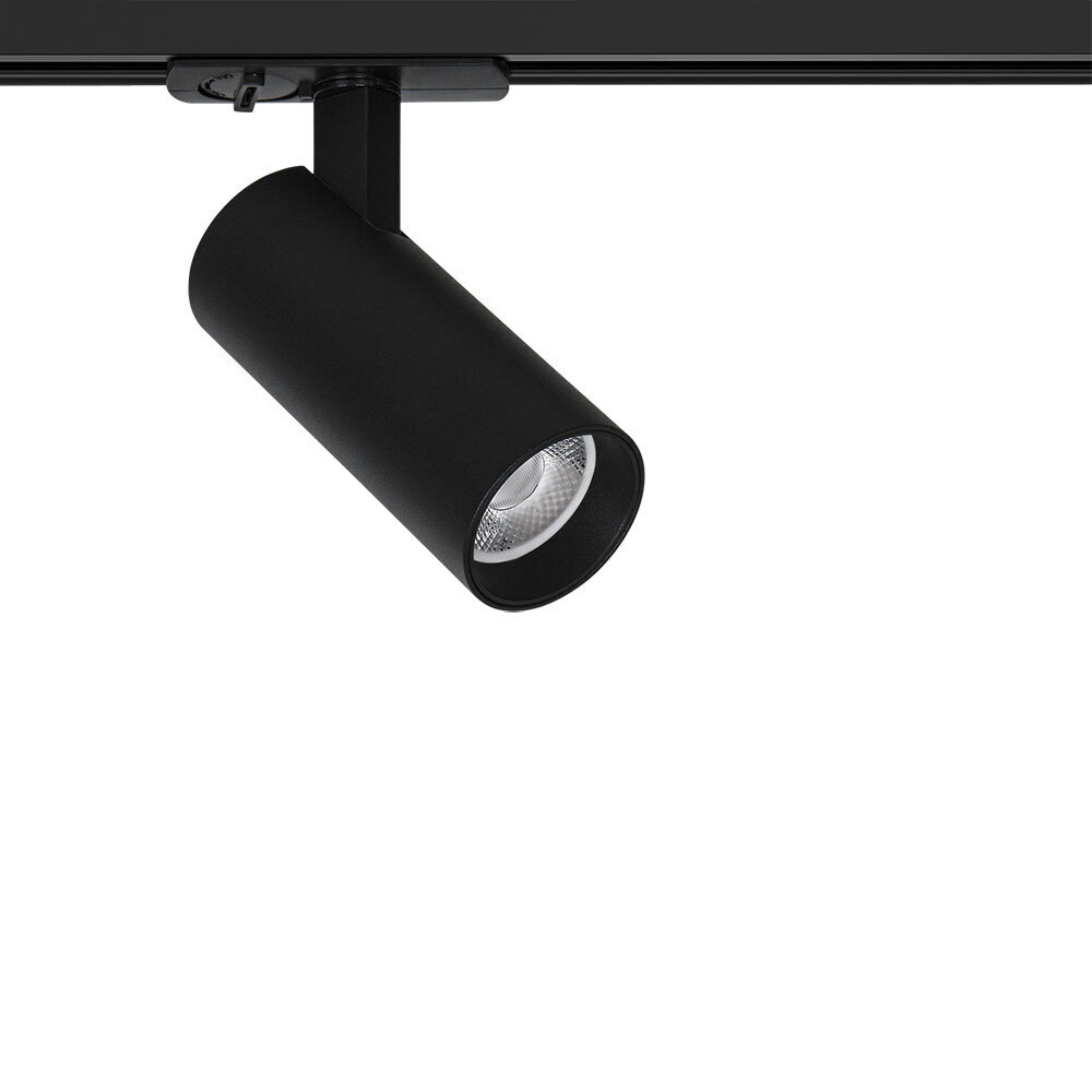 ���������� ������������ �������� ���������� ���������� Arte Lamp Bene 3000� 10 �� ������ (A1935PL-1BK)  