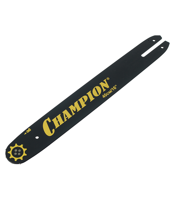 ���������� ���� Champion 16