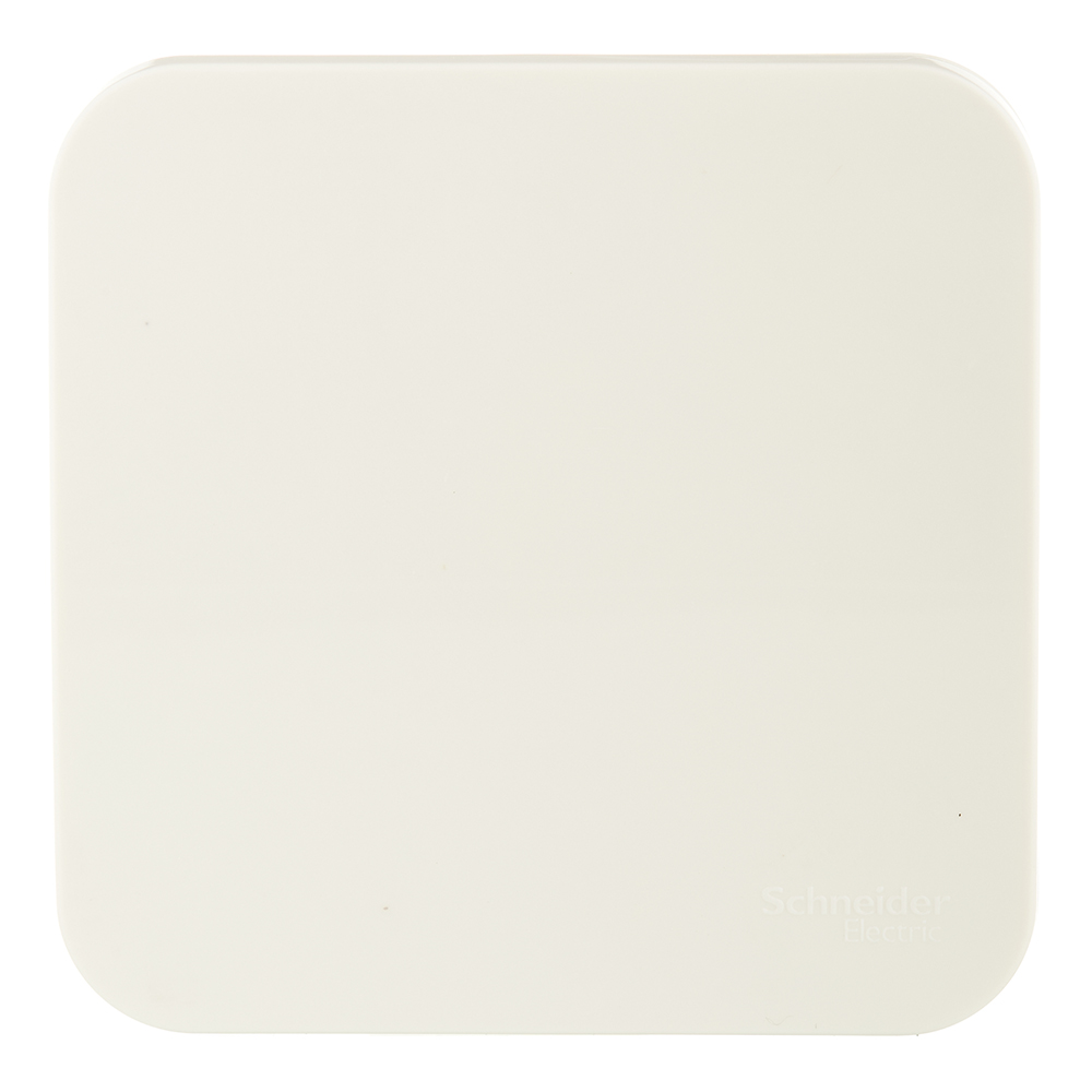 ���������� ����������� Systeme Electric Blanca ������������� ��������� ������� � ������������� (BLNCA101017)  