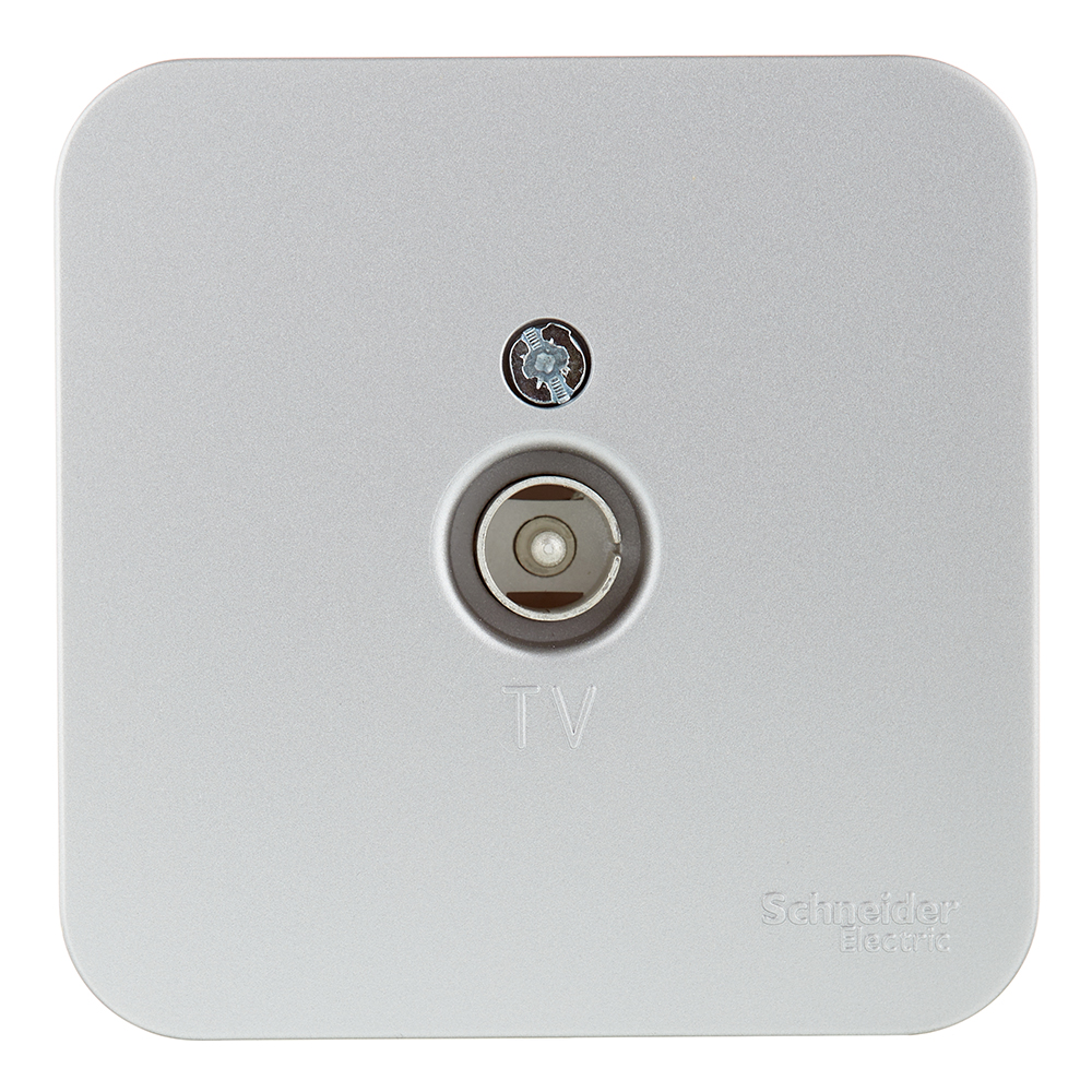 ���������� ������� ������������� Systeme Electric Blanca ��������� �������� (BLNTA000013)  