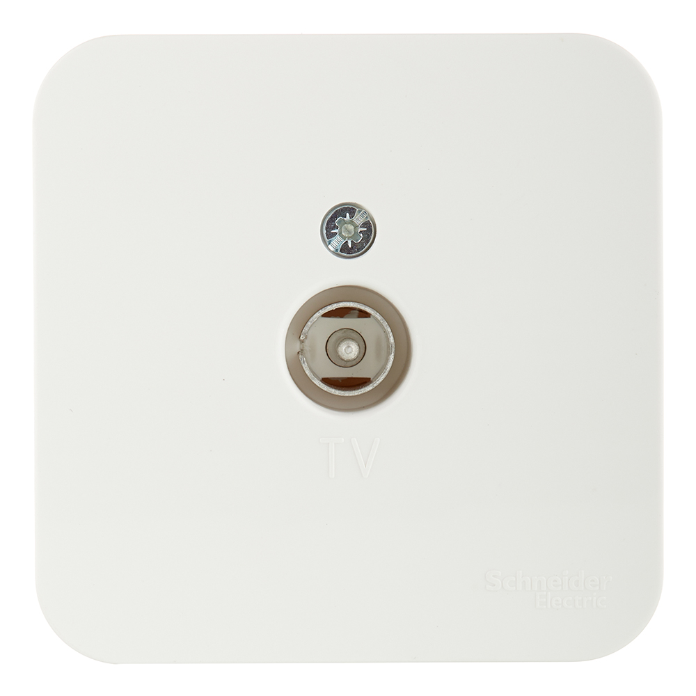 ���������� ������� ������������� Systeme Electric Blanca ��������� �������� (BLNTA000012)  