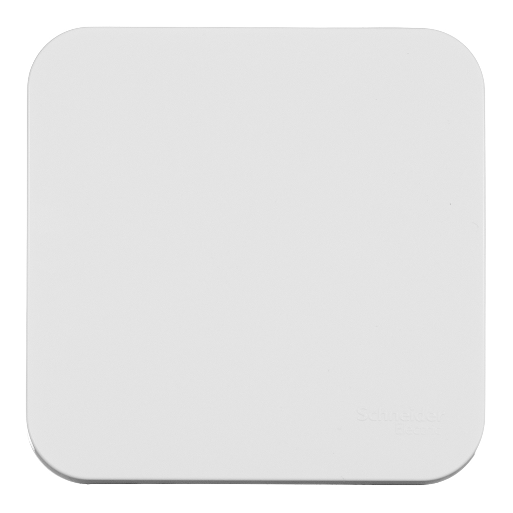 ���������� ����������� Systeme Electric Blanca ������������� ��������� ����� � ������������� (BLNCA101011)  