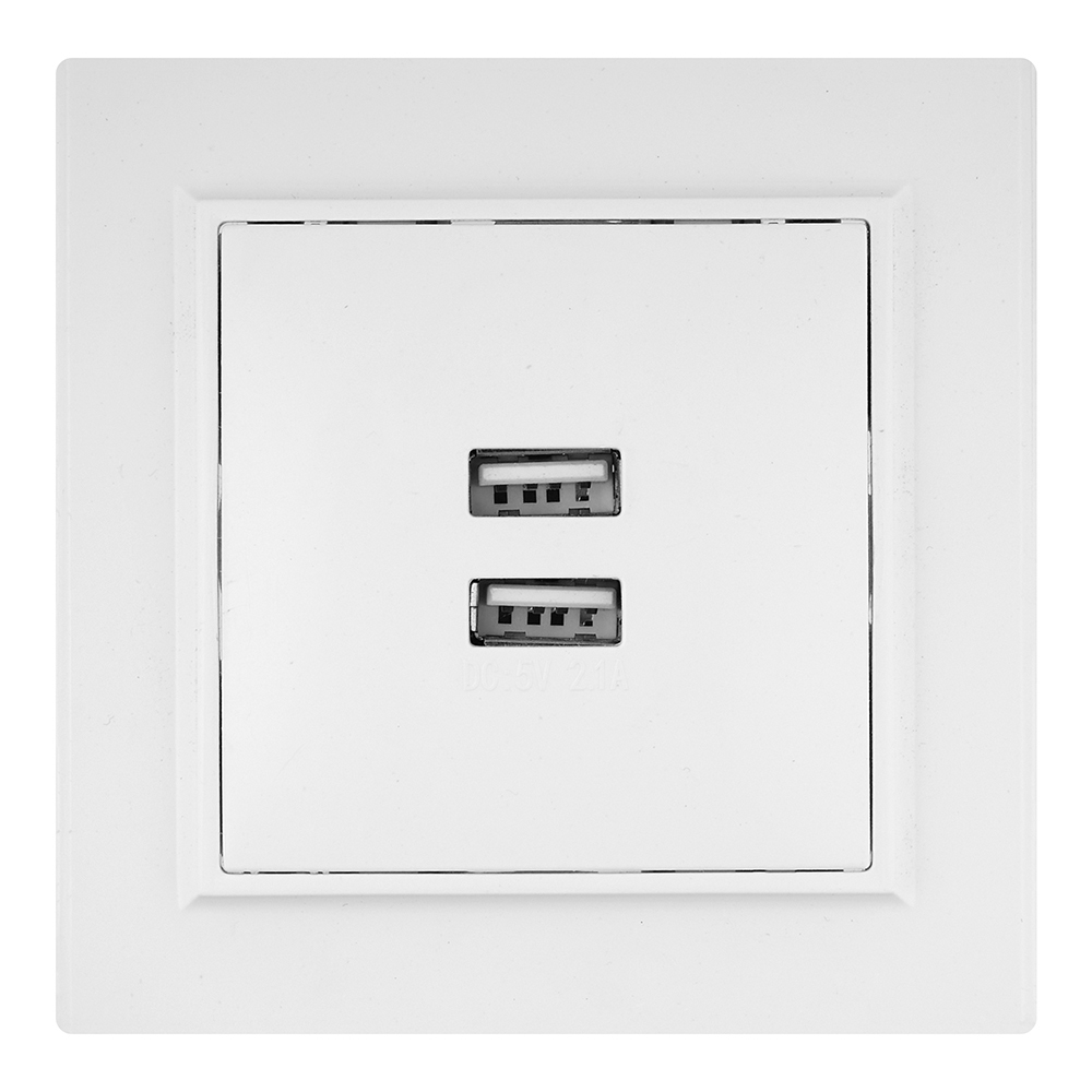 ���������� ������� USB EKF ����� ������������ ����� 2�USB-� (ERR-2USB-100)  