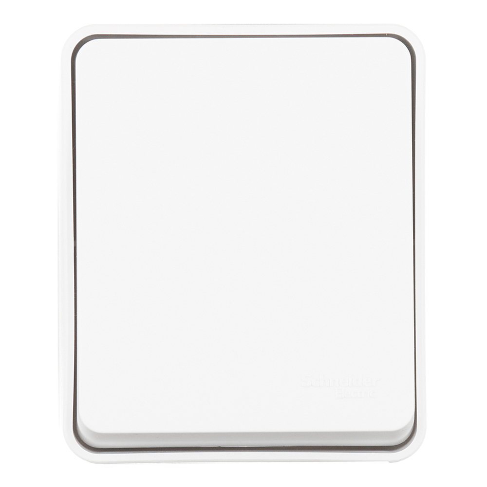 ���������� ����������� Systeme Electric AtlasDesign Profi54 ������������� ��������� ����� (ATN540111)  