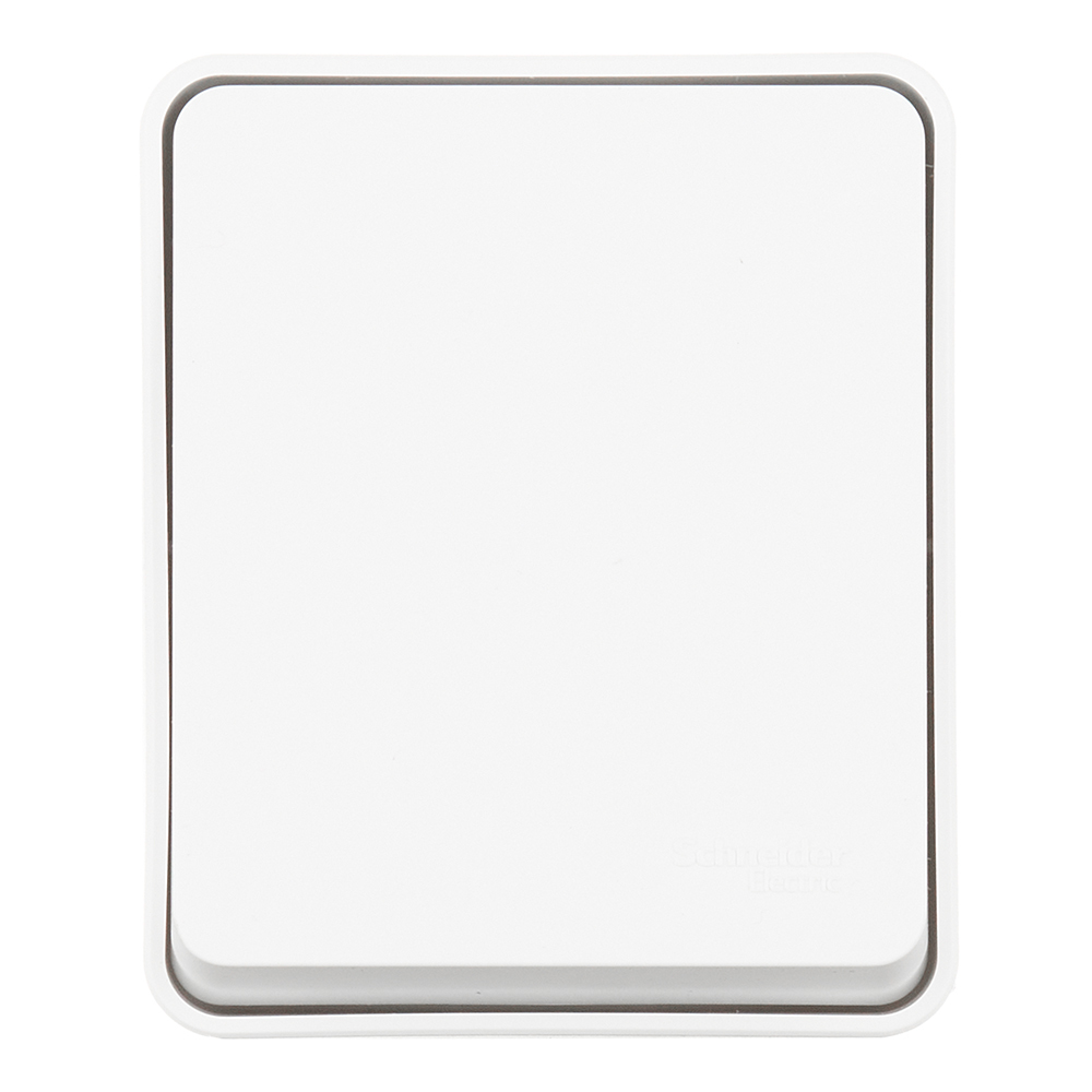 ���������� ������������� Systeme Electric AtlasDesign Profi54 ������������� ��������� ����� (ATN540161)  