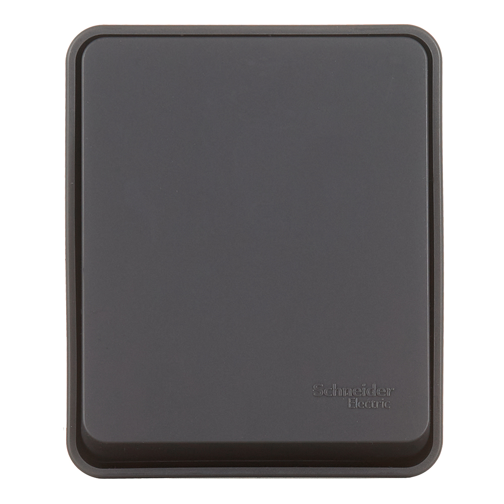 ���������� ������������� Systeme Electric AtlasDesign Profi54 ������������� ��������� �������� (ATN544061)  