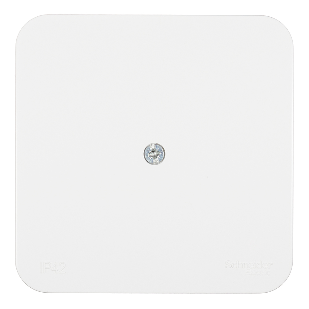 ���������� ������� ����������������� Systeme Electric Blanca ��������� ����� (BLNRK000011)  