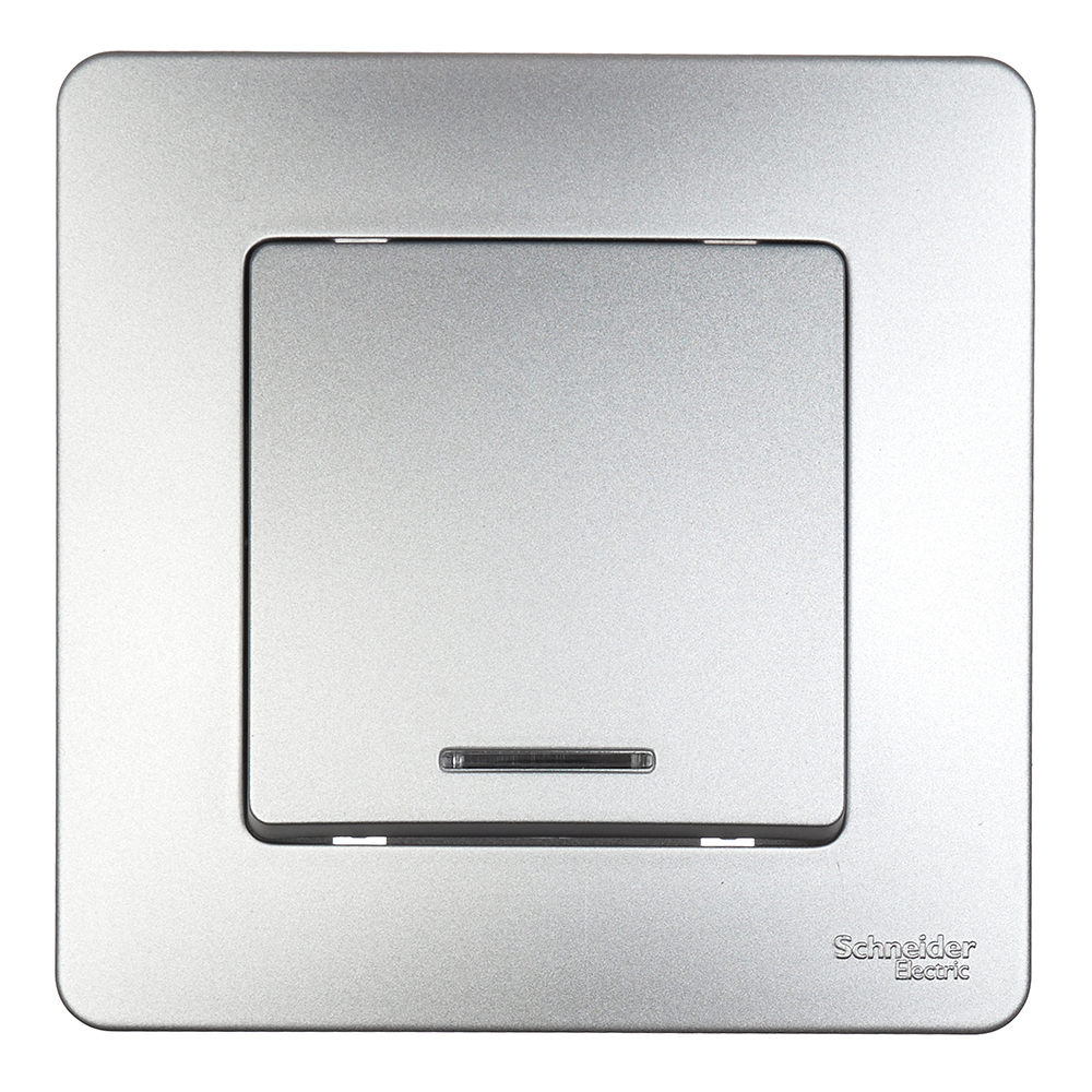 ���������� ����������� Systeme Electric Blanca ������������� ������������ �������� � ���������� (BLNVS010113)  