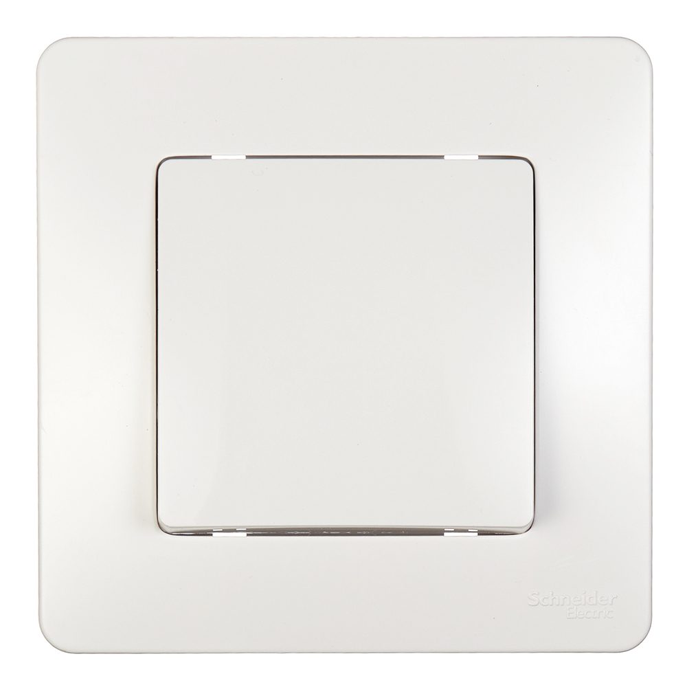 ���������� ������������� Systeme Electric Blanca ������������ ����� (BLNVS010601)  