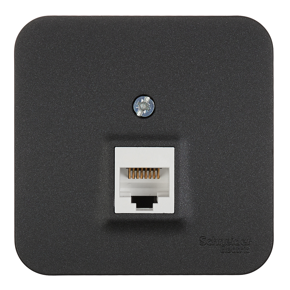 ���������� ������� ������������ Systeme Electric Blanca ��������� �������� RJ45 (BLNIA045006)  