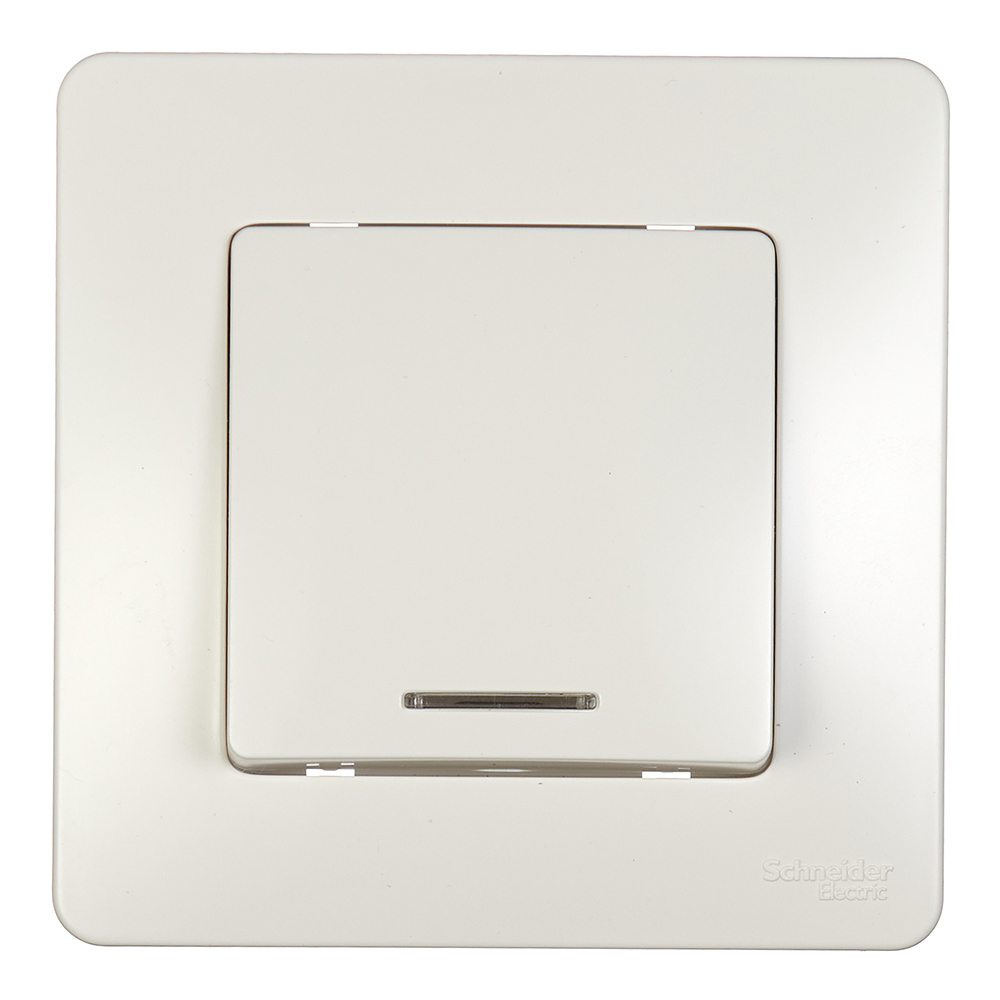 ���������� ����������� Systeme Electric Blanca ������������� ������������ �������� � ���������� (BLNVS010112)  