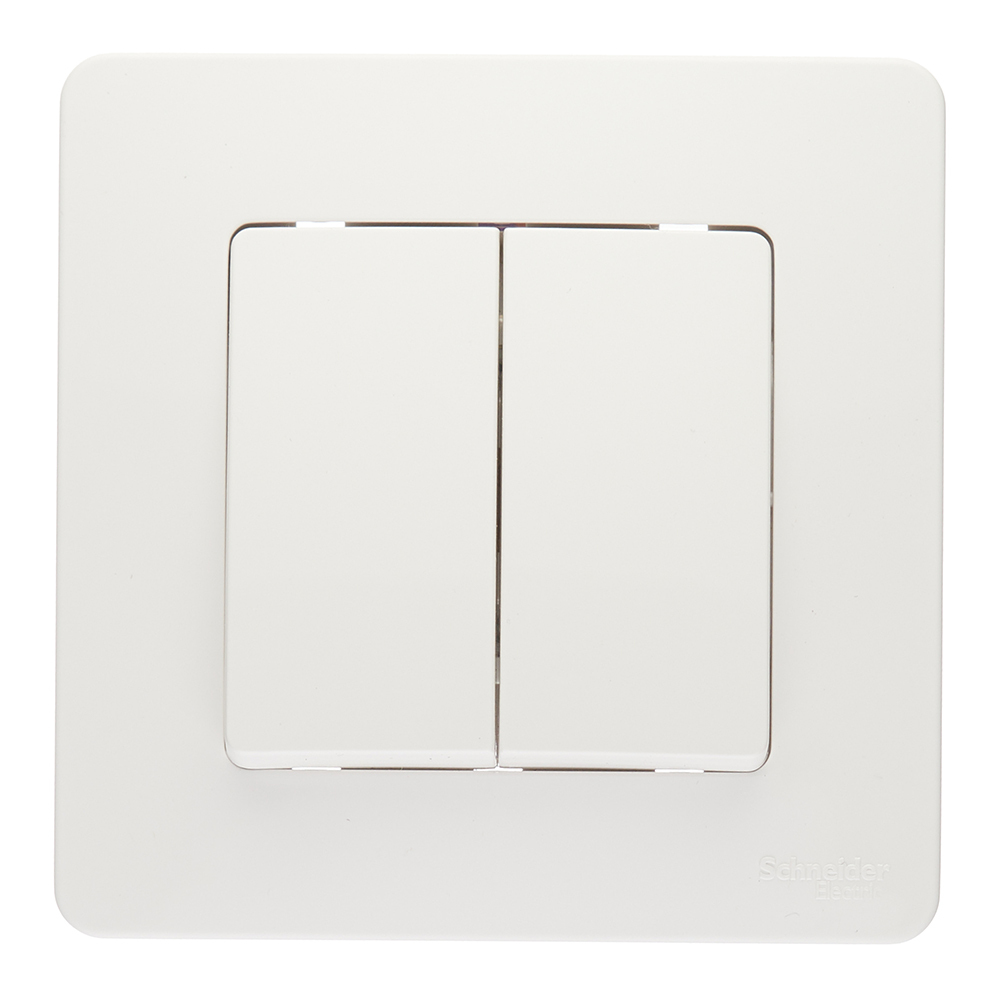 ���������� ������������� Systeme Electric Blanca ������������ ����� (BLNVS106601)  