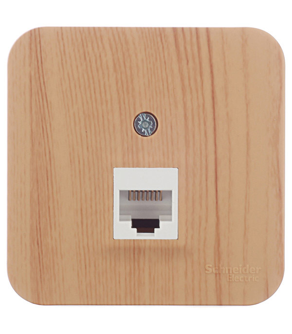 ���������� ������� ������������ Systeme Electric Blanca ��������� ����� RJ45 (BLNIA045005)  