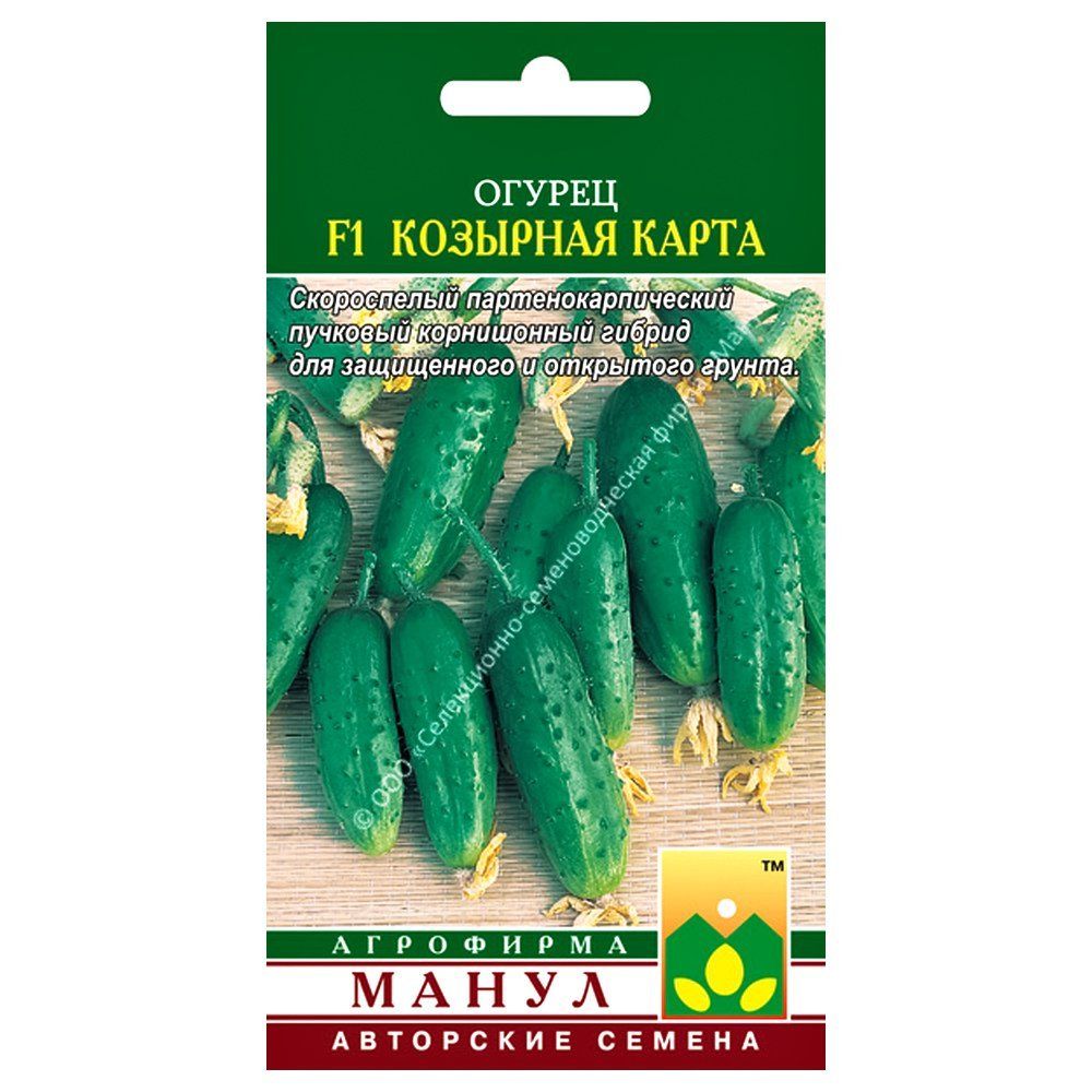 ���������� ������ �������� ����� F1 �����  