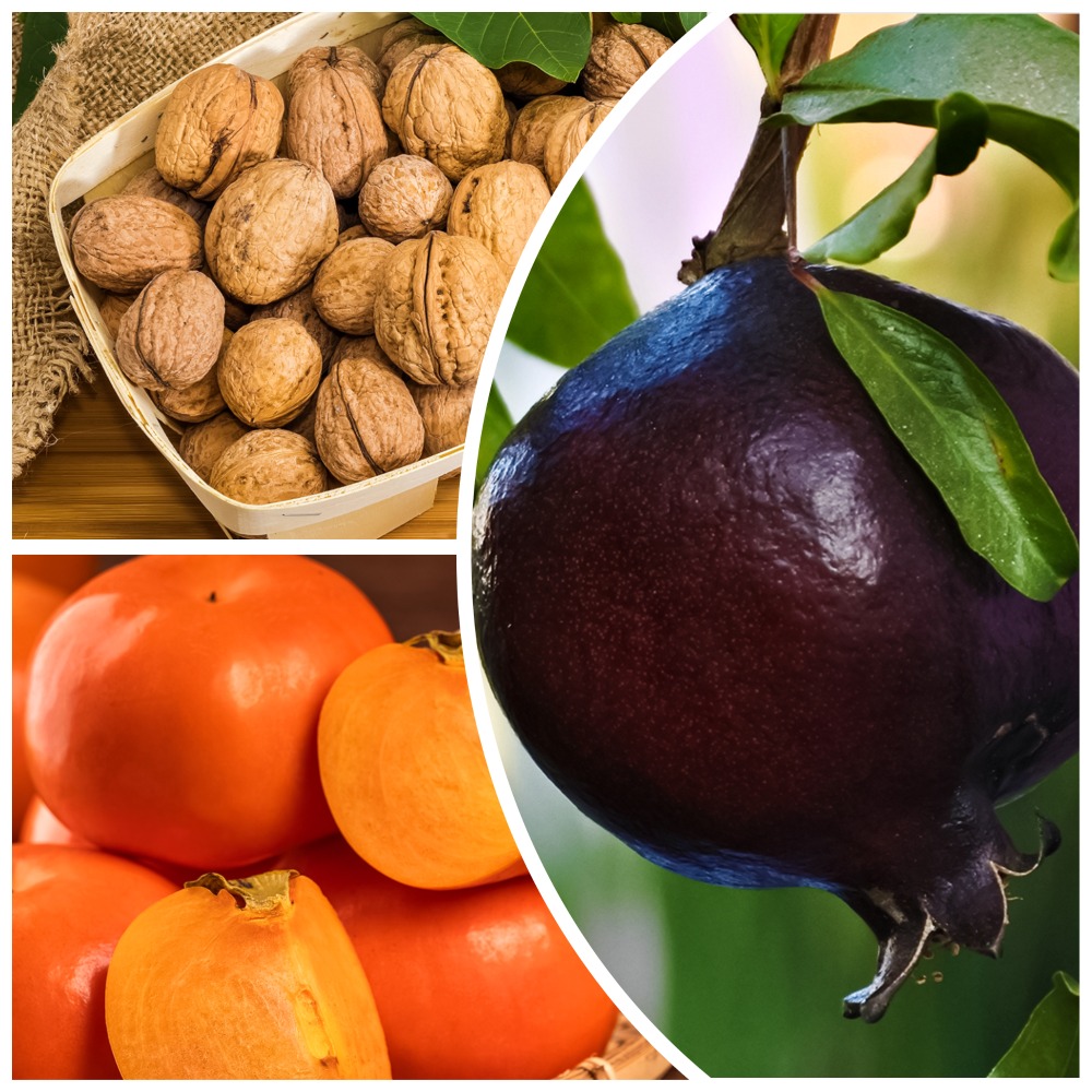 ���������� �����������! �������� ��������� ���������� �������� 