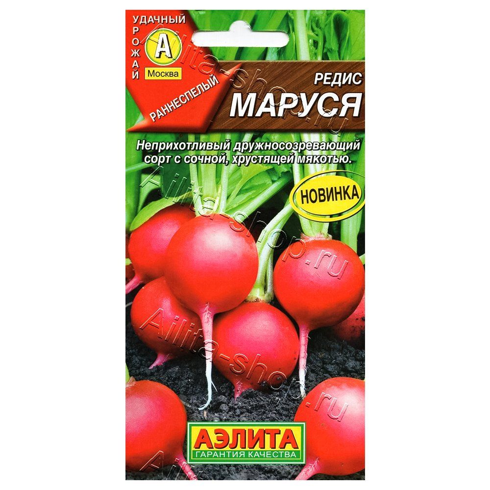 ���������� ����� ������ ������  