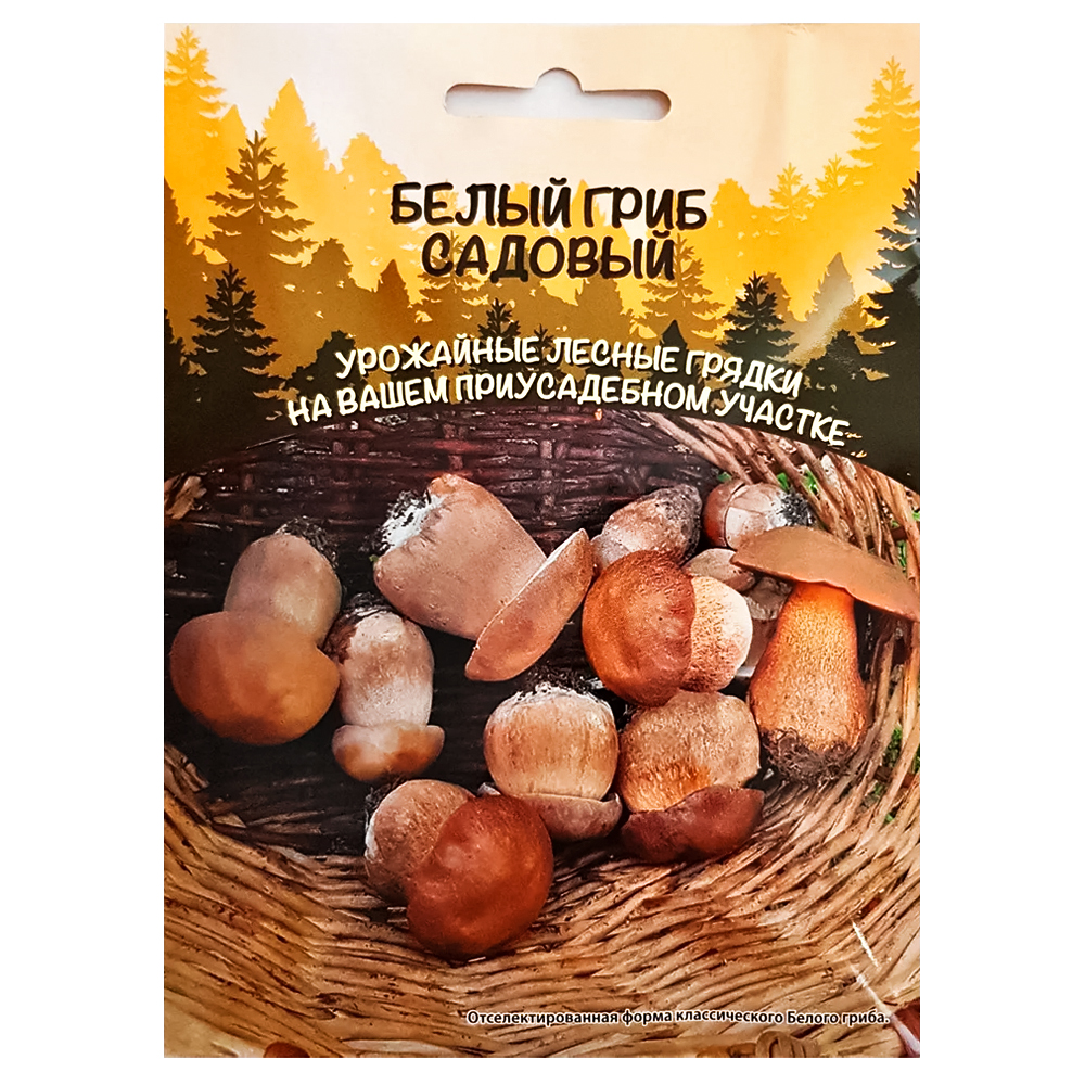 ���������� ����� ���� ������� ��������� ������  