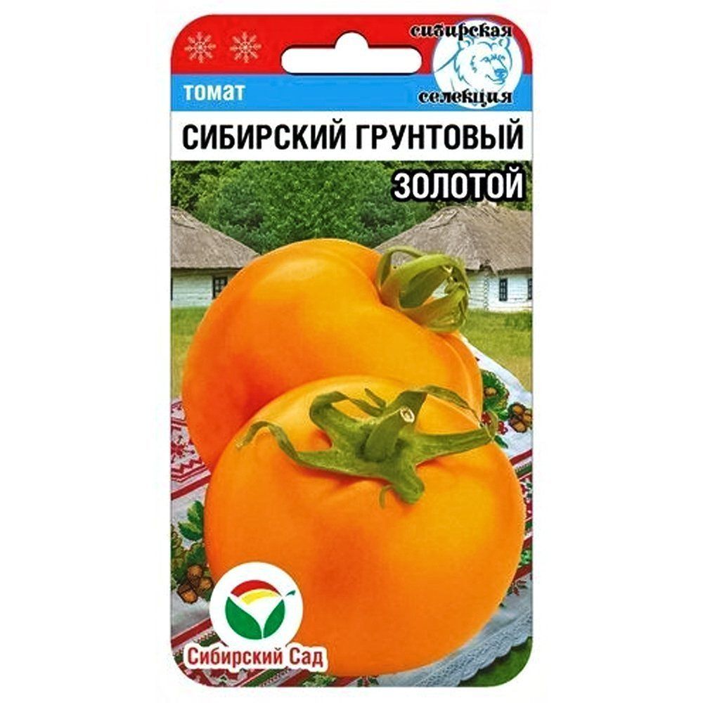 ���������� ����� ��������� ��������� ������� ��������� ���  