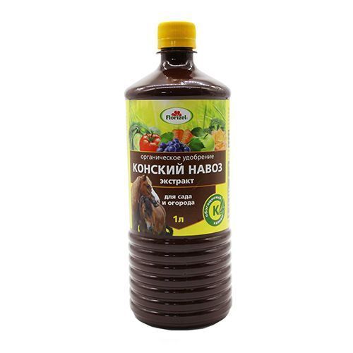 ���������� Florizel �������� �������� ������, ������������ ��������� 1 �  