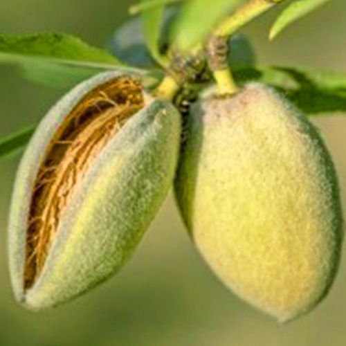 ���������� ������� ��������  