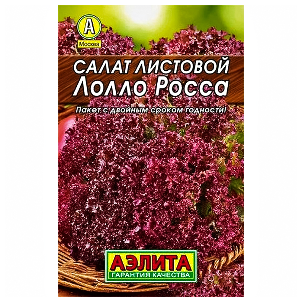���������� ����� ����� ����� ������  