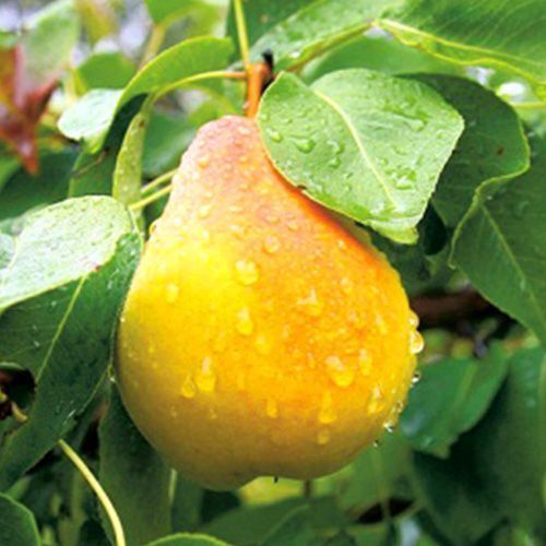 ���������� ����� �����������  