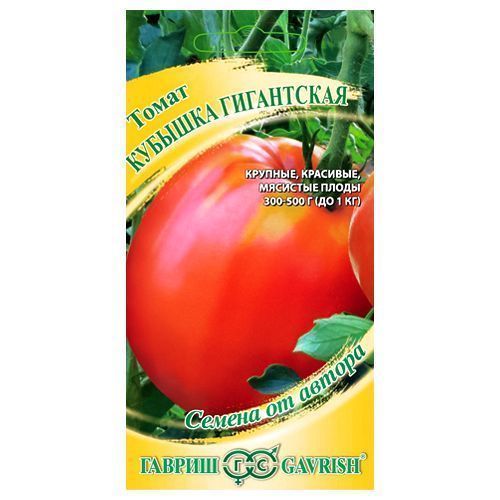 ���������� ����� ������� ���������� ������  