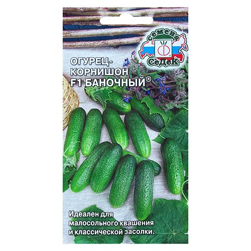 ���������� ������ �������� �������� F1 �����  