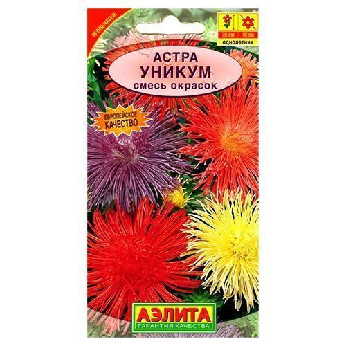 ���������� ����� ���������� ������, ����� ������� ������  