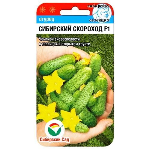 ���������� ������ ��������� �������� F1 ��������� ���  