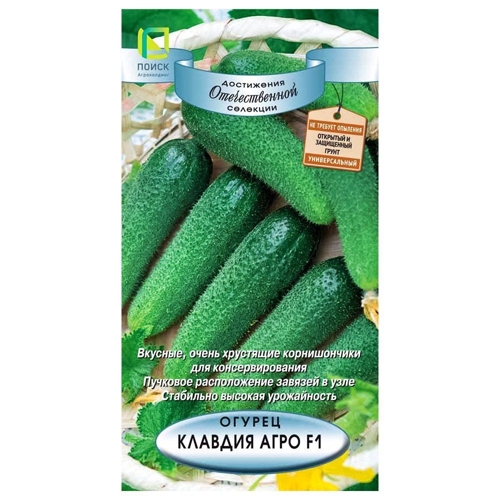 ���������� ������ ������� ���� F1 �����  